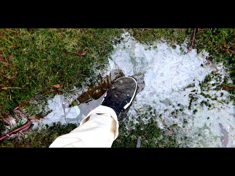 &quot;It&#039;s never too late to break the ice!&quot;