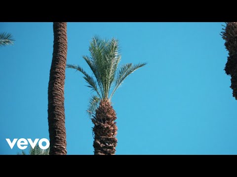 Aimée - Sun-Kissed (Lyric Video)