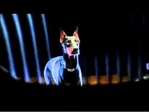 BMW M3 commercial: &quot;Beast&quot;