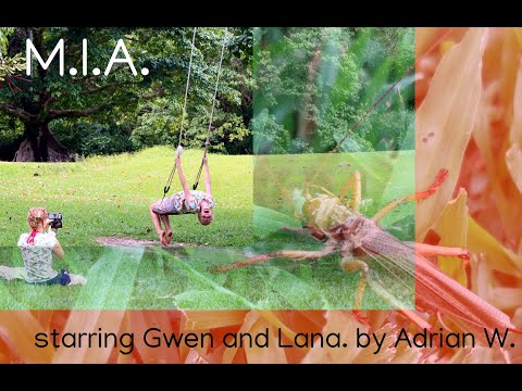 M.I.A. [short short film]