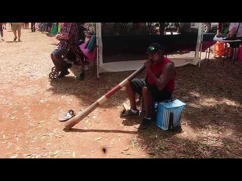 Yidaki / Didgeridoo - Yungaburra Market