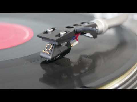 Bill Withers - Lovely Day (1981 Vinyl LP) - Technics 1200G / Goldring G1042