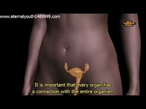 TECHNOLOGY OF THE UTERUS REGENERATION