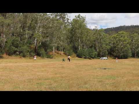Bush Cricket 2